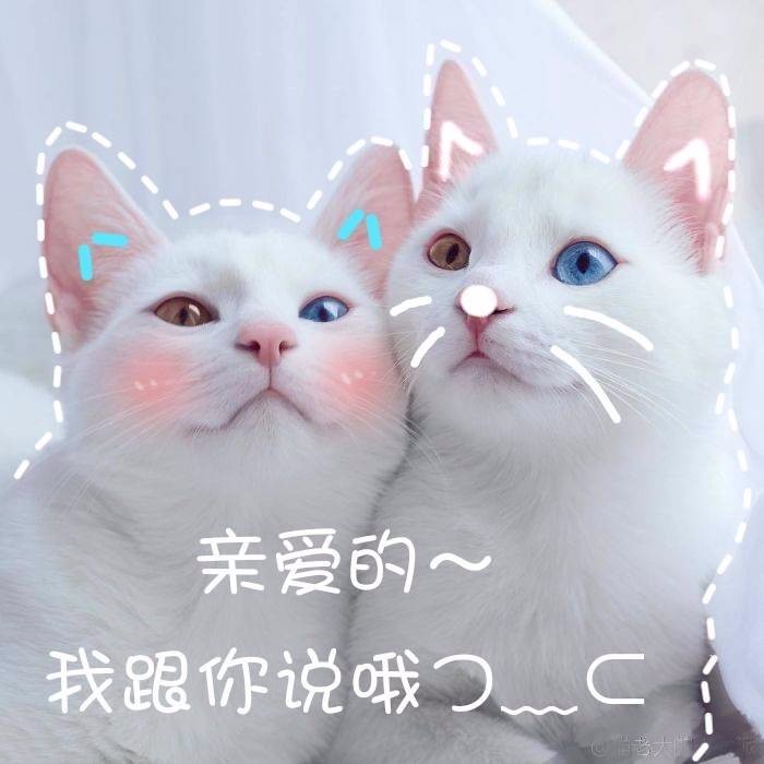 猫的成语四字成语 t01c1860e83c1624945.jpg?size=700x700