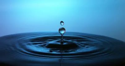 特别视角 | 第二专业和双学位哪个含金量大?准