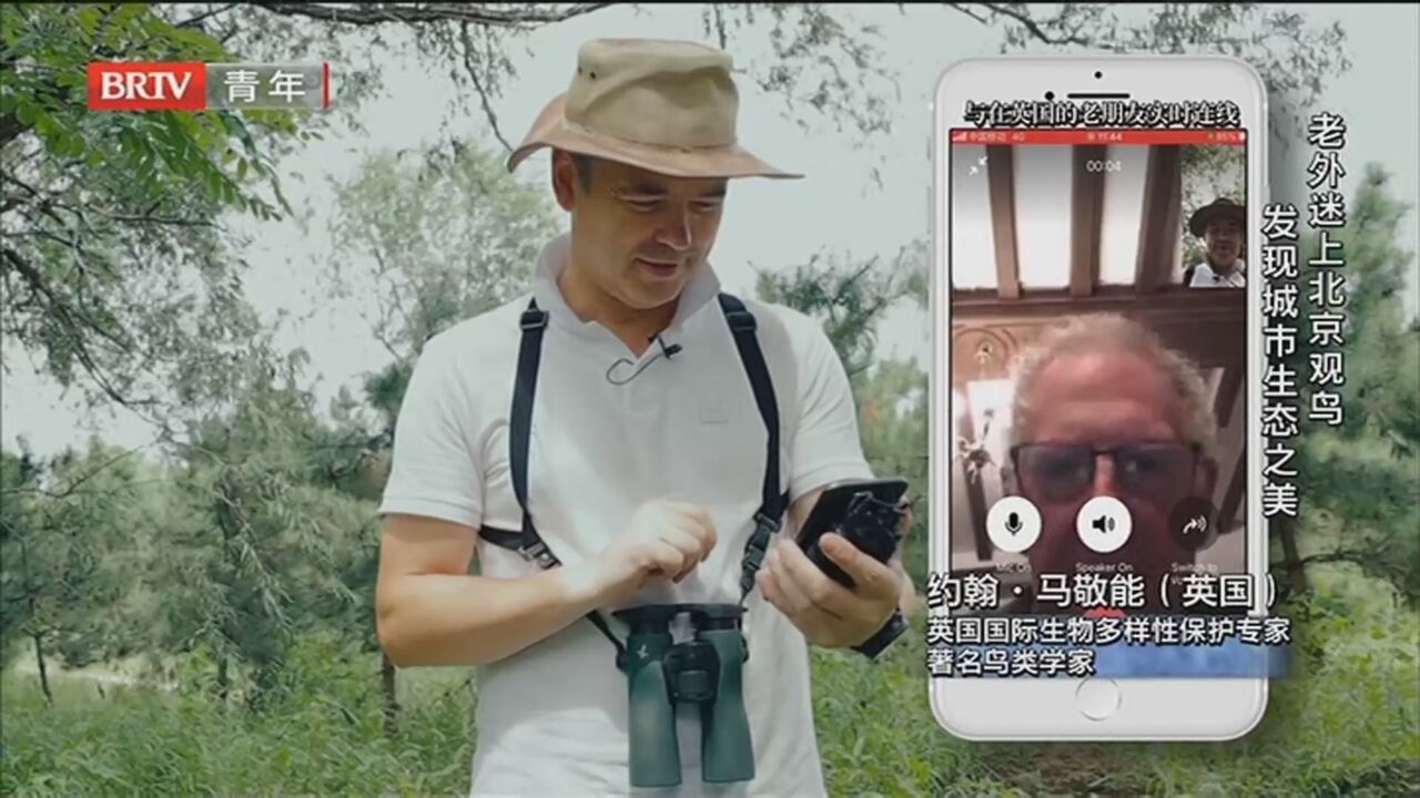 《意想不到的北京》20221011 老外迷上北京观鸟 发现城市生态之美