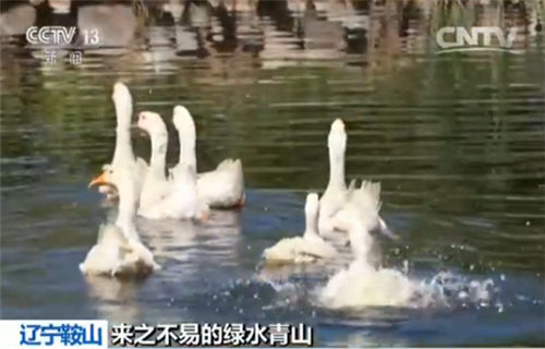 【来之不易的绿水青山】辽宁鞍山:百年矿渣山 今日生态园 【来之不易的绿水青山】辽宁鞍山:百年矿渣山 今日生态园