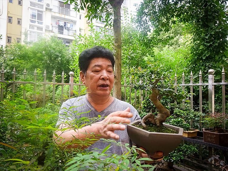 武汉再添100个花园家庭 有花友玩出一座江南