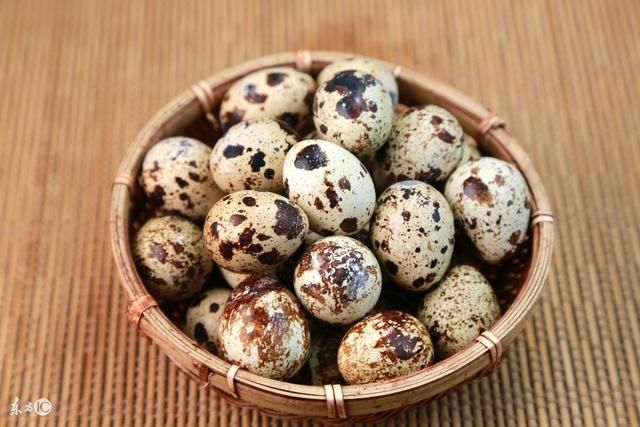 孕妇吃鹌鹑蛋,可以促进胎儿大脑发育?孕妇吃鹌