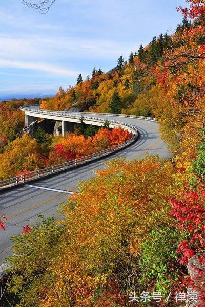非常经典的句子:心灵有了归宿,人生不再漂泊