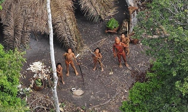 残忍!巴西10名亚马逊部落居民遭金矿工人屠杀