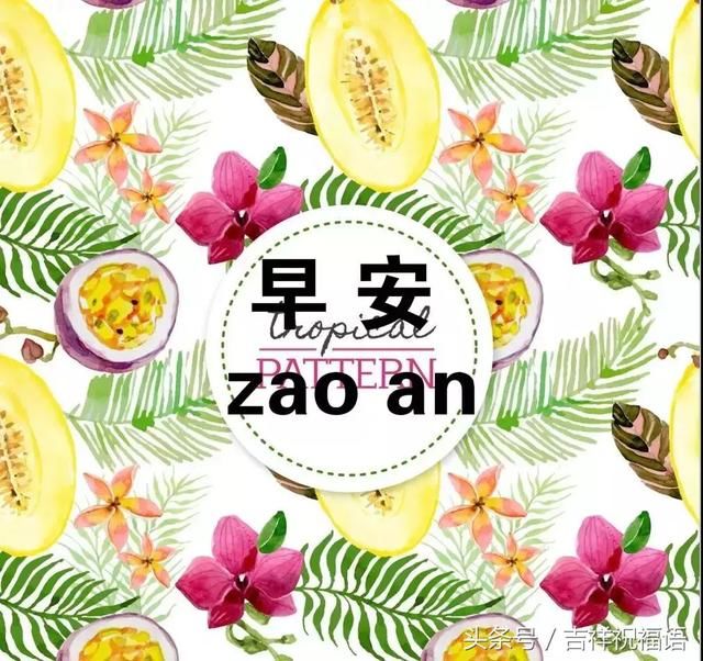 鲜花早安图片带字 微信朋友圈早安心语一句话