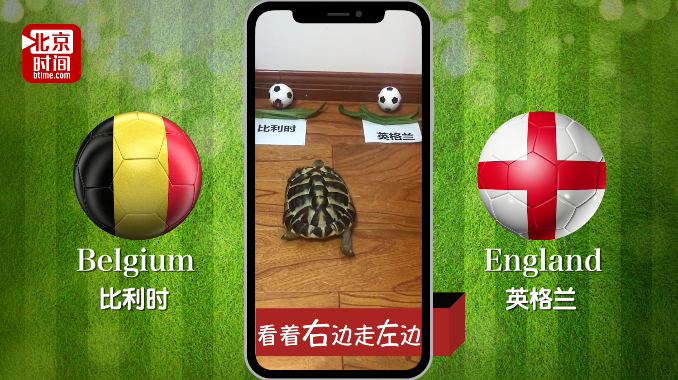 世界杯神龟疯狂预测:比利时战胜英格兰获季军 世界杯神龟疯狂预测:比利时战胜英格兰获季军