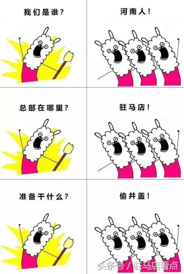 白岩松:中国什么样河南就什么样!总部驻马店