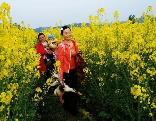 18年离婚比结婚难,只有符合这8大条件之一的,