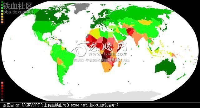 美国网民评论:为什么中国人的平均智商比印度