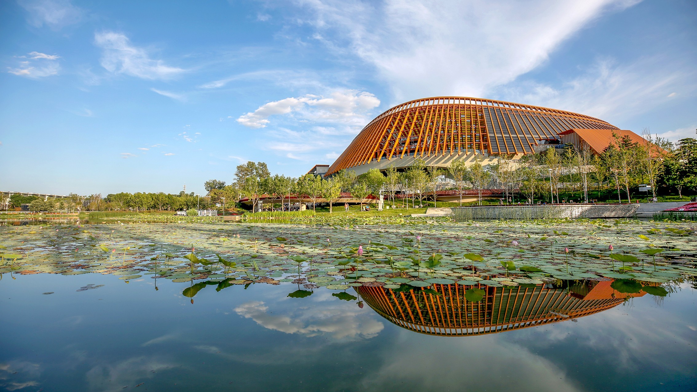世界湿地日丨北京湿地版图去年再扩1023公顷，湖北云南加速湿地恢复