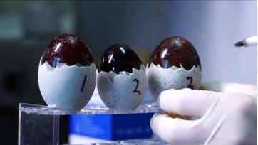 夏日调查 松花蛋 真的铅含量超标吗 雪花新闻