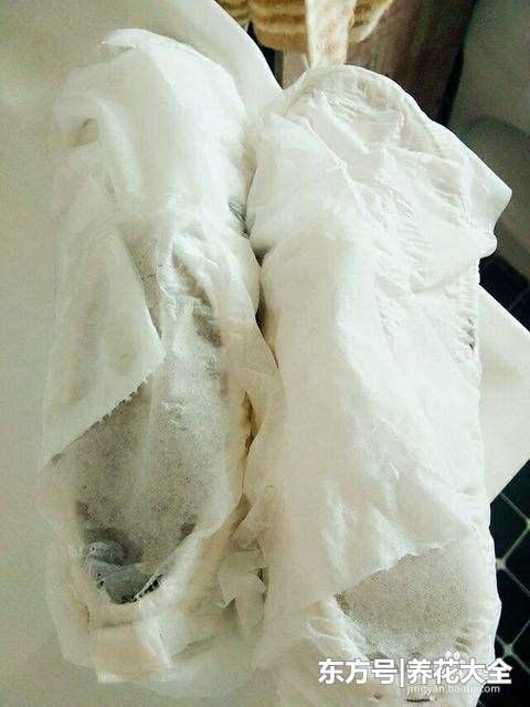 小白鞋发黄急死人,教你两招,轻松又好使,刷完跟