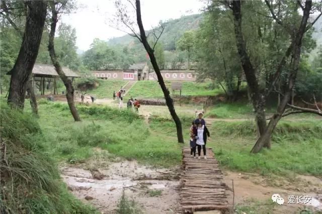 王茜华主演的电视剧《岁岁年年柿柿红》将于今