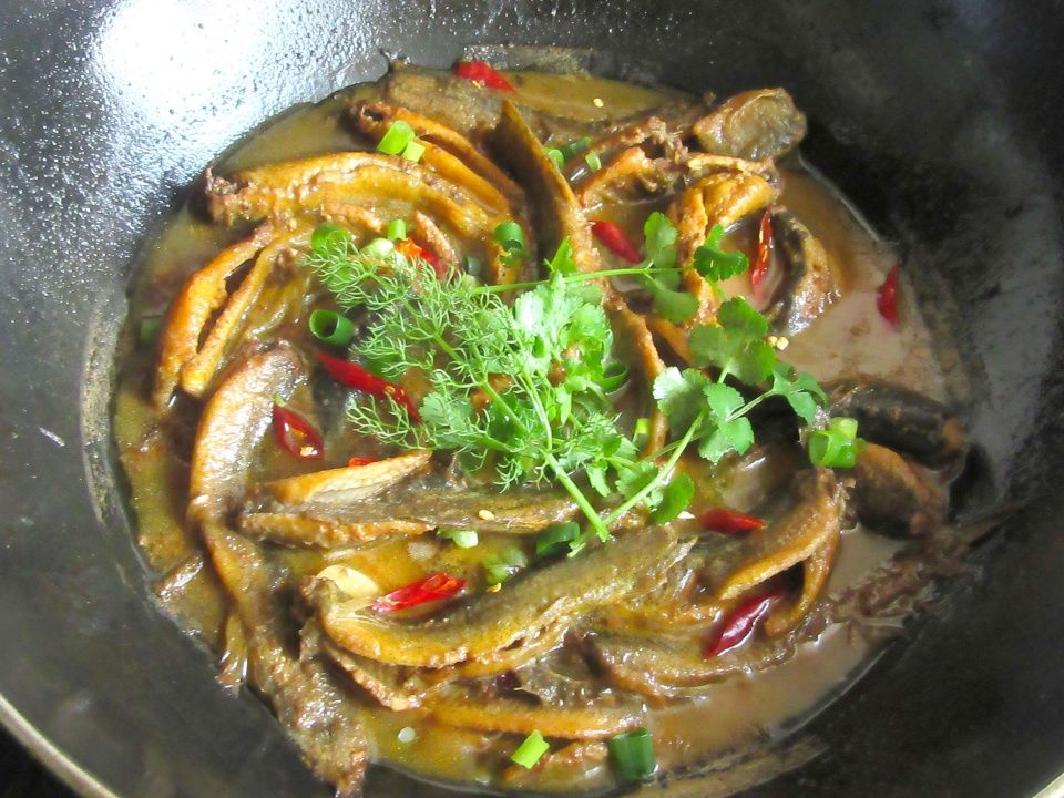 7,炖好的泥鳅关火,放点香菜即可,我喜欢再放点茴香叶,味道特别独特