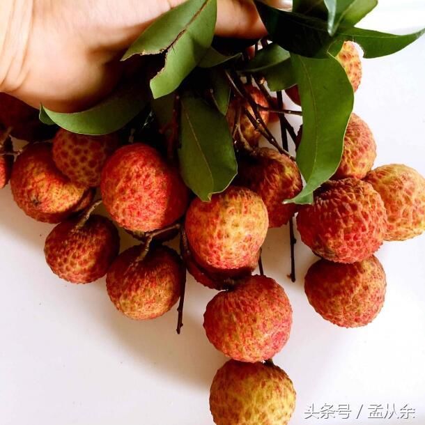 你喜欢荔枝哪个口味?糯米糍桂味,好吃不是吹的