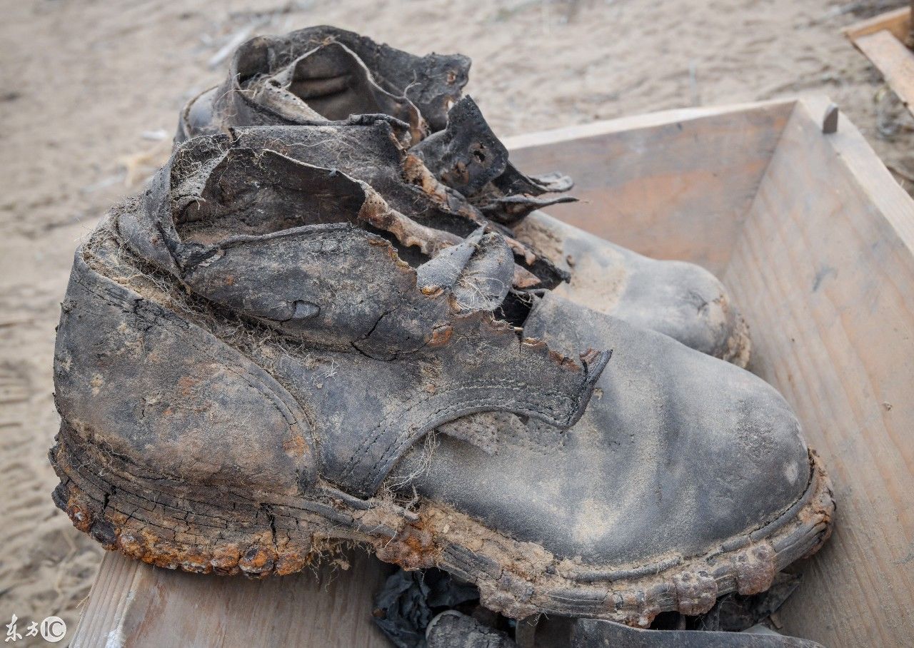 波兰发现一处德国纳粹坟墓,出土的德军装备时隔多年依然光亮如新