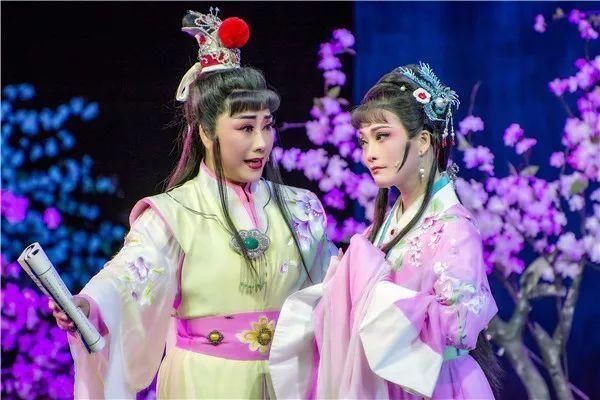 徐王经典"红楼"即将启幕,梅花金奖得主再降龙城