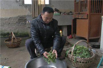 渴望幸福家庭的她,为何婚姻却一次次破裂?