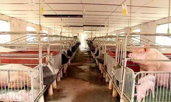 养殖场面临拆迁,停产停业的损失能主张赔偿吗