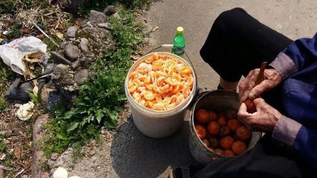 继沙糖桔之后,浙江椪柑在此出现滞销,原因何在