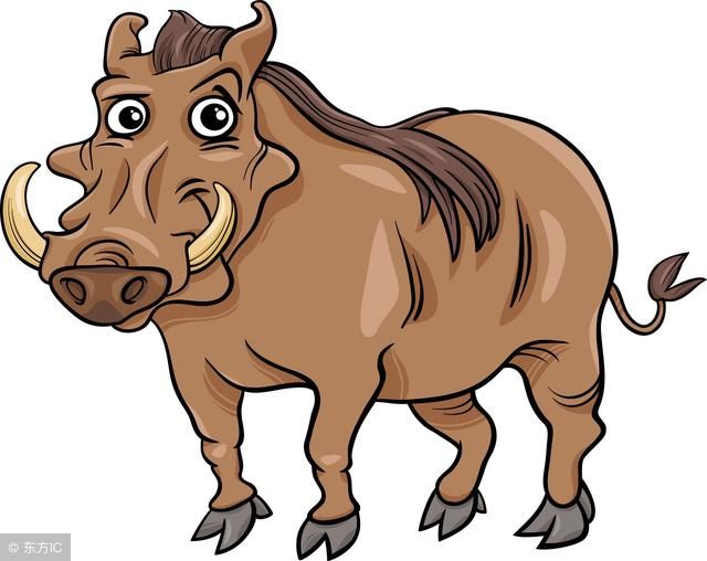 进入七月,好日子红红火火,生肖猪被好消息追着