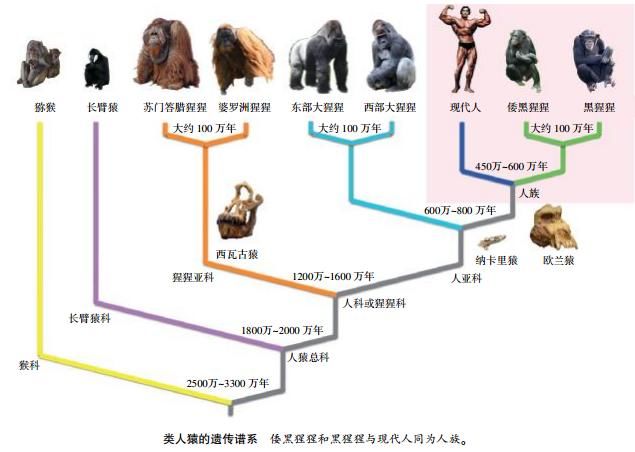 汉族的起源和演变第一章第二、三节:地质与生