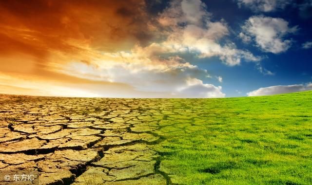 一股跻身全球农化巨头之列