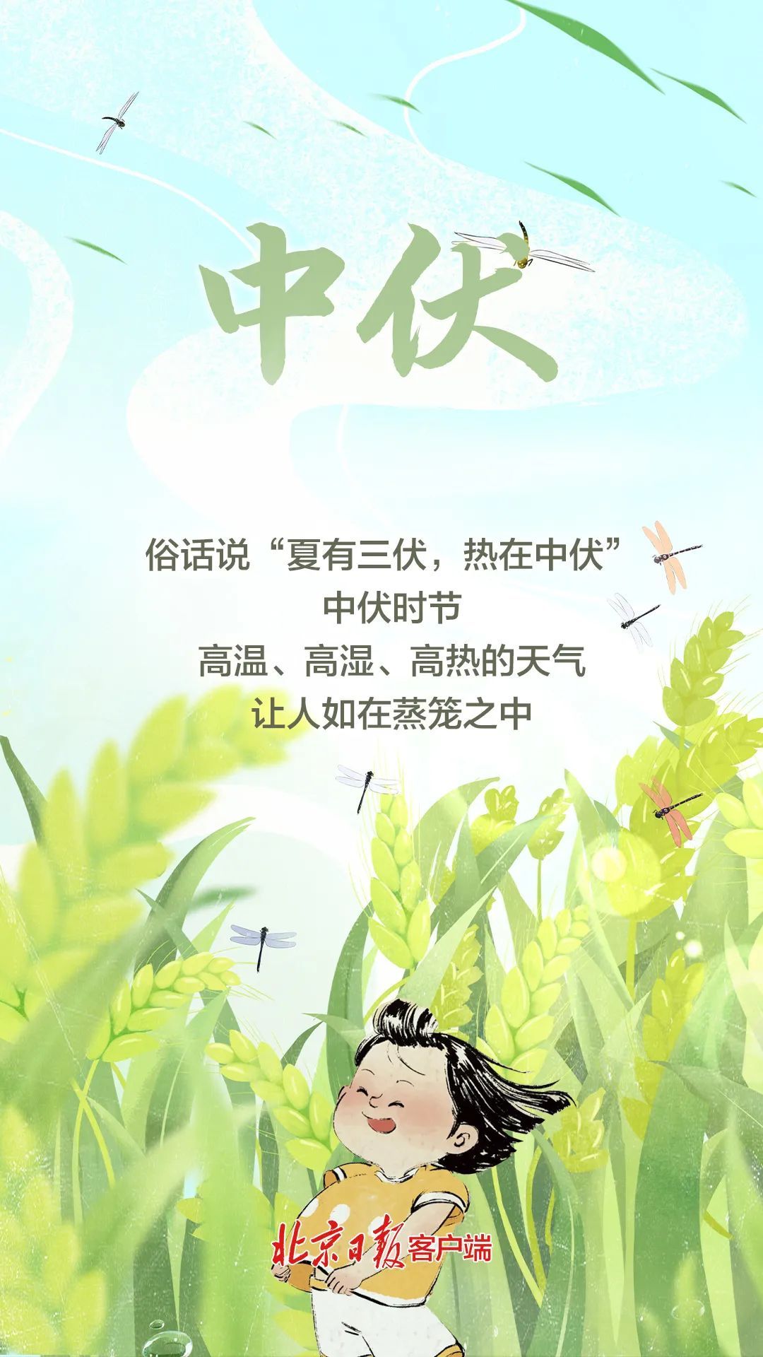 今日中伏!记得吃一碗爽口二伏面_北京时间