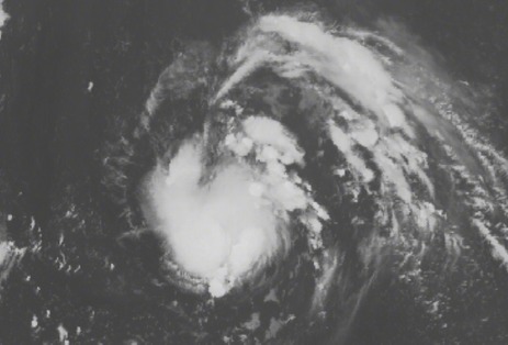 台风路径实时发布系统:今年第5号台风奥鹿生成 已监测到热带低压