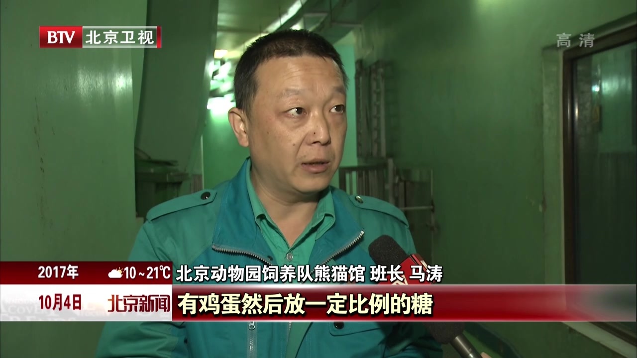 动物园里庆佳节  大熊猫吃上特制月饼 动物园里庆佳节  大熊猫吃上特制月饼