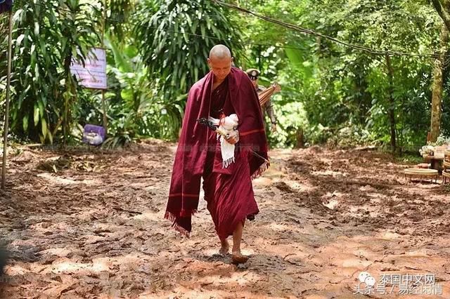 快讯:泰国失踪足球队找到了,全活着,高僧神预