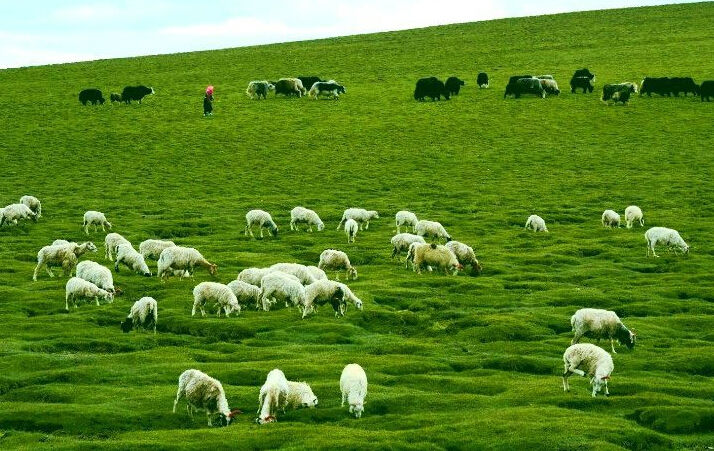 发现新大陆!委内瑞拉景色宜人,让人流连忘返