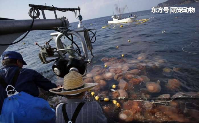 t01ca614b40e2b3903f.jpg?size=699x434