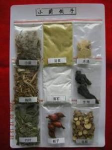 止 血 剂小蓟饮子、槐花散、黄土汤、十灰散