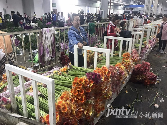 夜访昆明斗南花卉市场 全国70%鲜切花来自这里