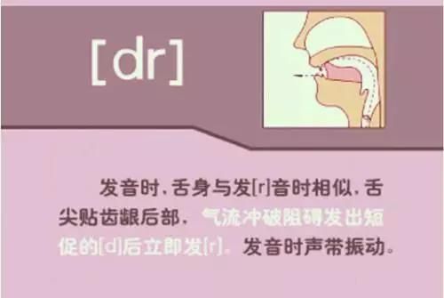 48个英语音标发音规则