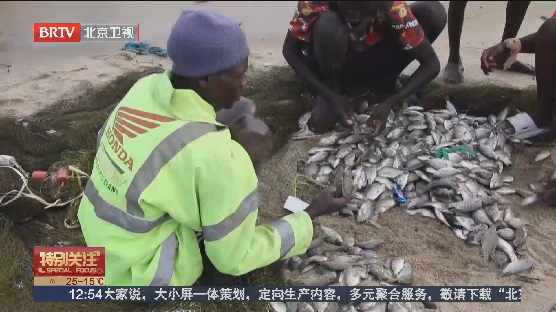 过度捕捞幼鱼 肯尼亚图尔卡纳湖生态受威胁_北京时间