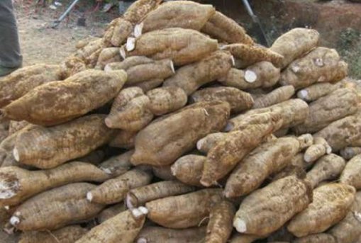 很多人都嫌弃它长得丑,却忽略了它是天然雌激