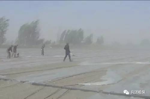 2017年5月4日新疆农业气象灾害预警评估