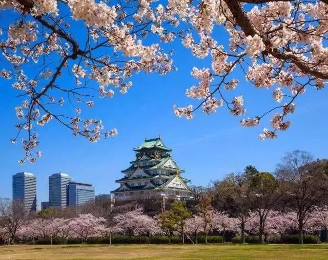 2018最强日本樱花季赏樱攻略出炉,体验独一无