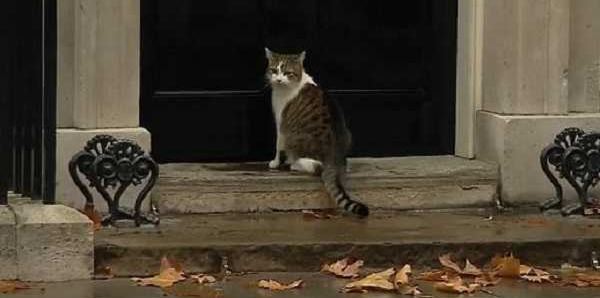此时，警察也斜眼看着拉里，拉里回头望了望，随后凝视着警察使出“眼神杀”，仿佛在说：“快敲门让我进去。”