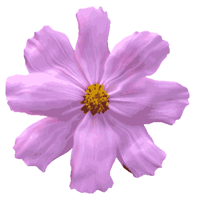 重磅消息八台山西南第一玻璃桥,即将开放