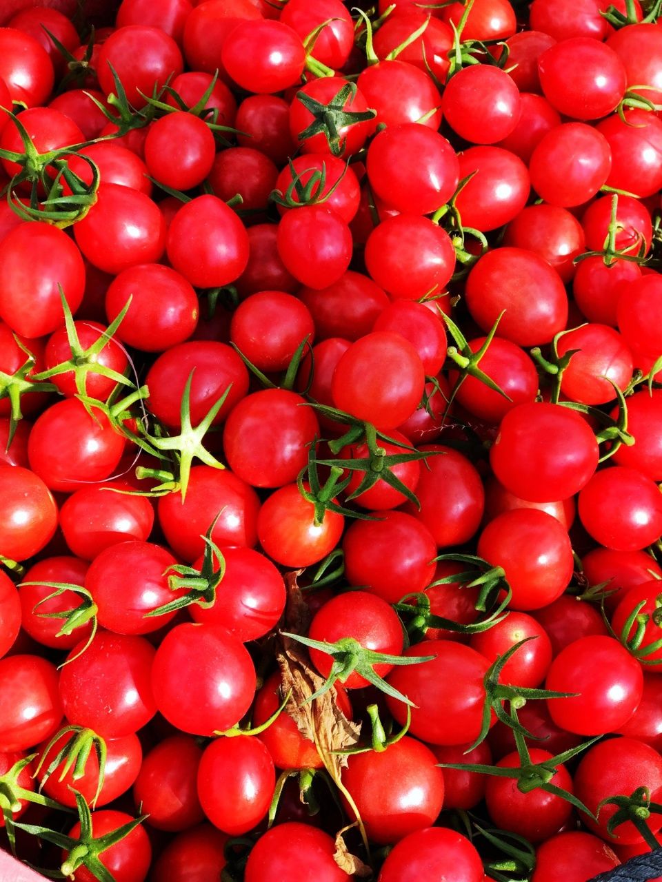 春节去海南,黎族燕姐告诉你纯海南水果的味道