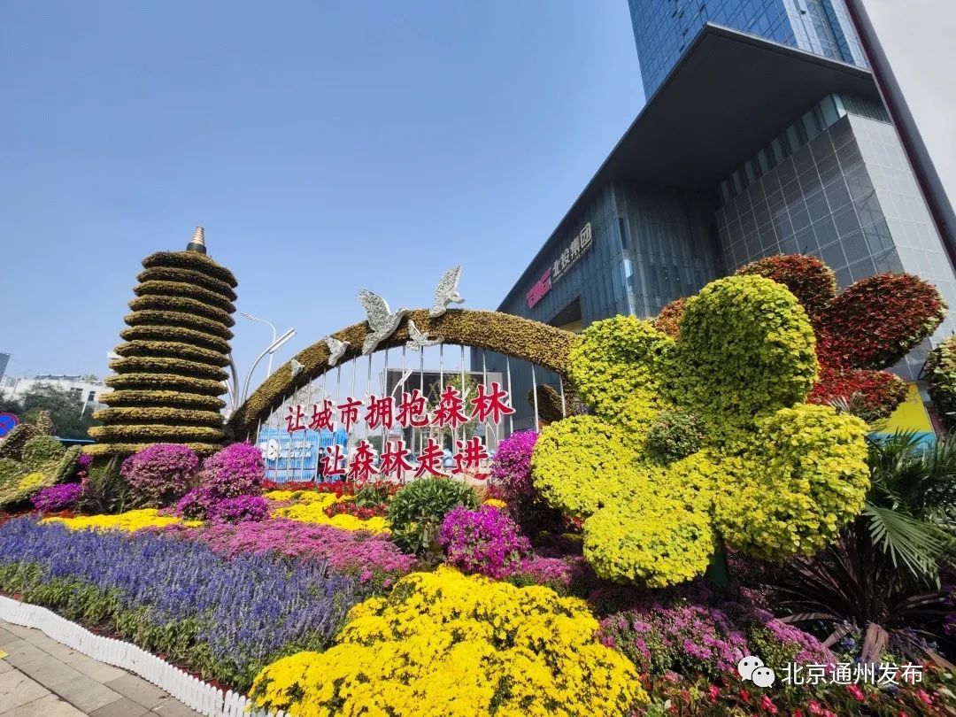 花团锦簇 副中心街头上新啦 还有小品灯光秀 节日氛围感已拉满 花团锦簇 副中心街头上新啦 还有小品灯光秀 节日氛围感已拉满