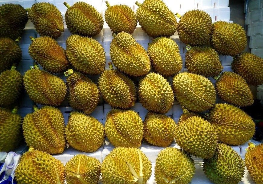 泰国榴莲自助餐,中国游客来了吃到老板怀疑人