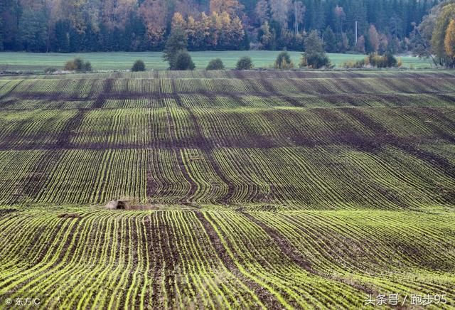 中央要求到年底全国农村承包地确权登记颁证工