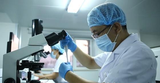 目前做产前亲子鉴定有哪些手段