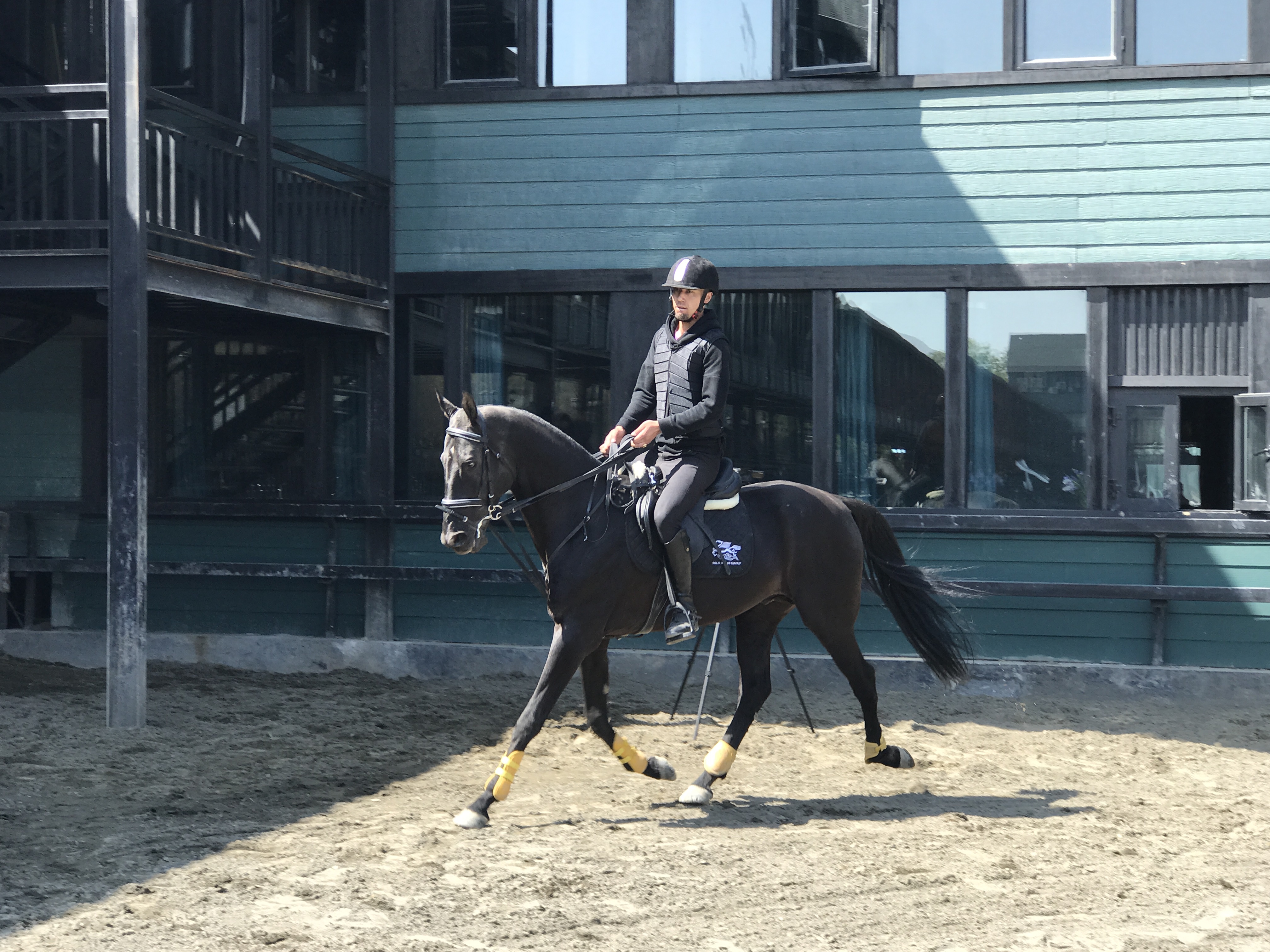 混血帅哥身骑汗血宝马 拯救美女主播 混血帅哥身骑汗血宝马 拯救美女主播