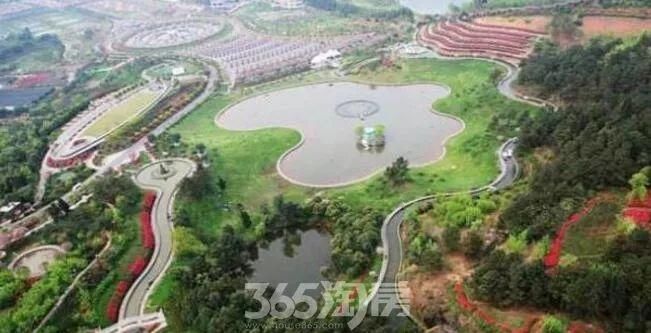 徐州各区最新房价曝光,2018该去哪投资买房?