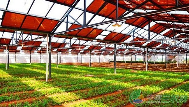 农村致富新项目新点子,2017农村创业的三大赚